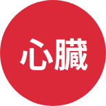 心臓